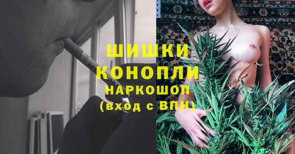 амф Белоозёрский