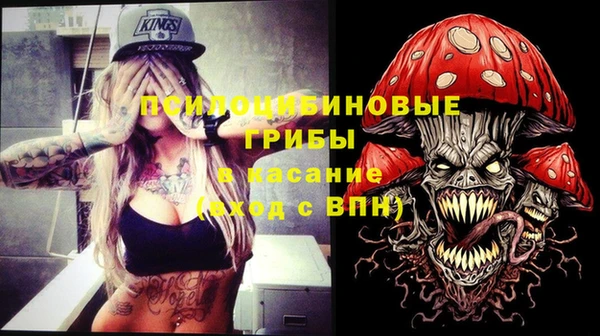 амф Белоозёрский