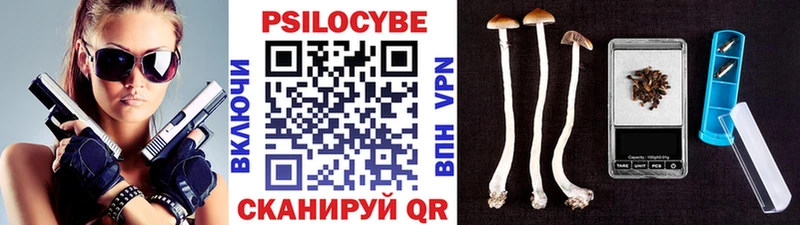 купить наркотики цена  Буинск  даркнет состав  Псилоцибиновые грибы Psilocybine cubensis 